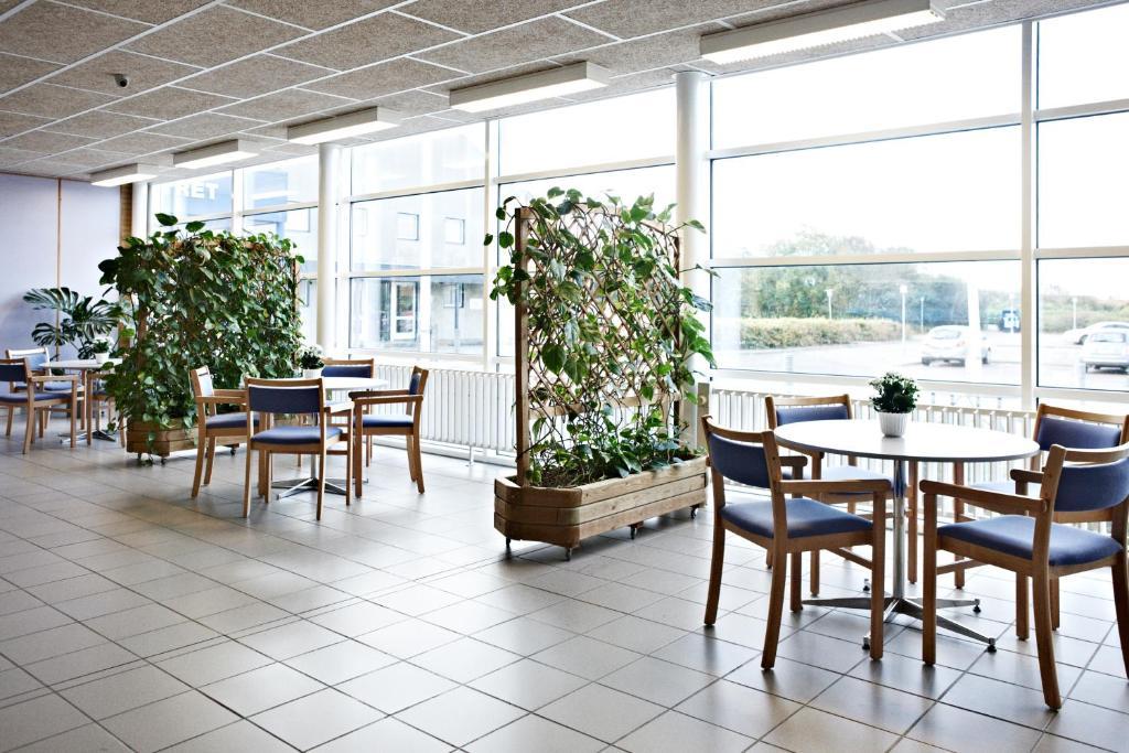 Danhostel רינגקובינג מראה חיצוני תמונה